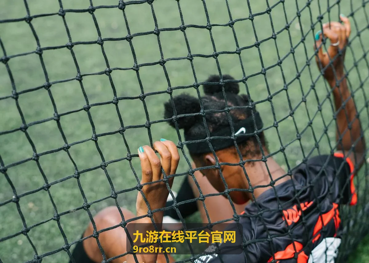 九游在线平台官网版本变化条目封面